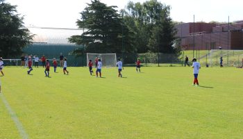 IMG_3310
