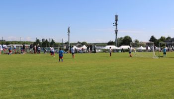 IMG_3320