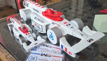 STEM team Wild Julliet coche 2