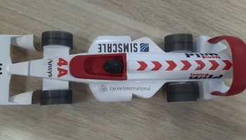 STEM team Wild Julliet coche 4