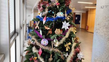 marche-de-noel-2024_37-scaled